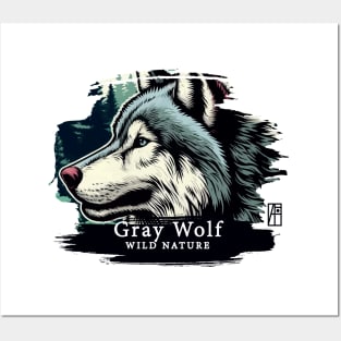 Gray Wolf - WILD NATURE - WOLF -2 Posters and Art